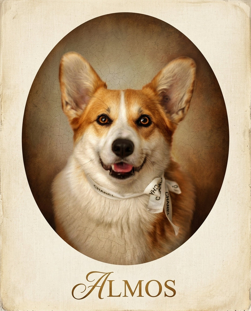 Memorial Pet Portraits