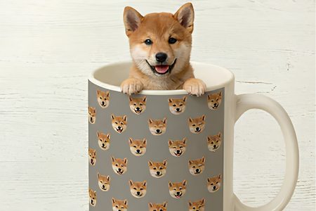 Custom Pet Mugs