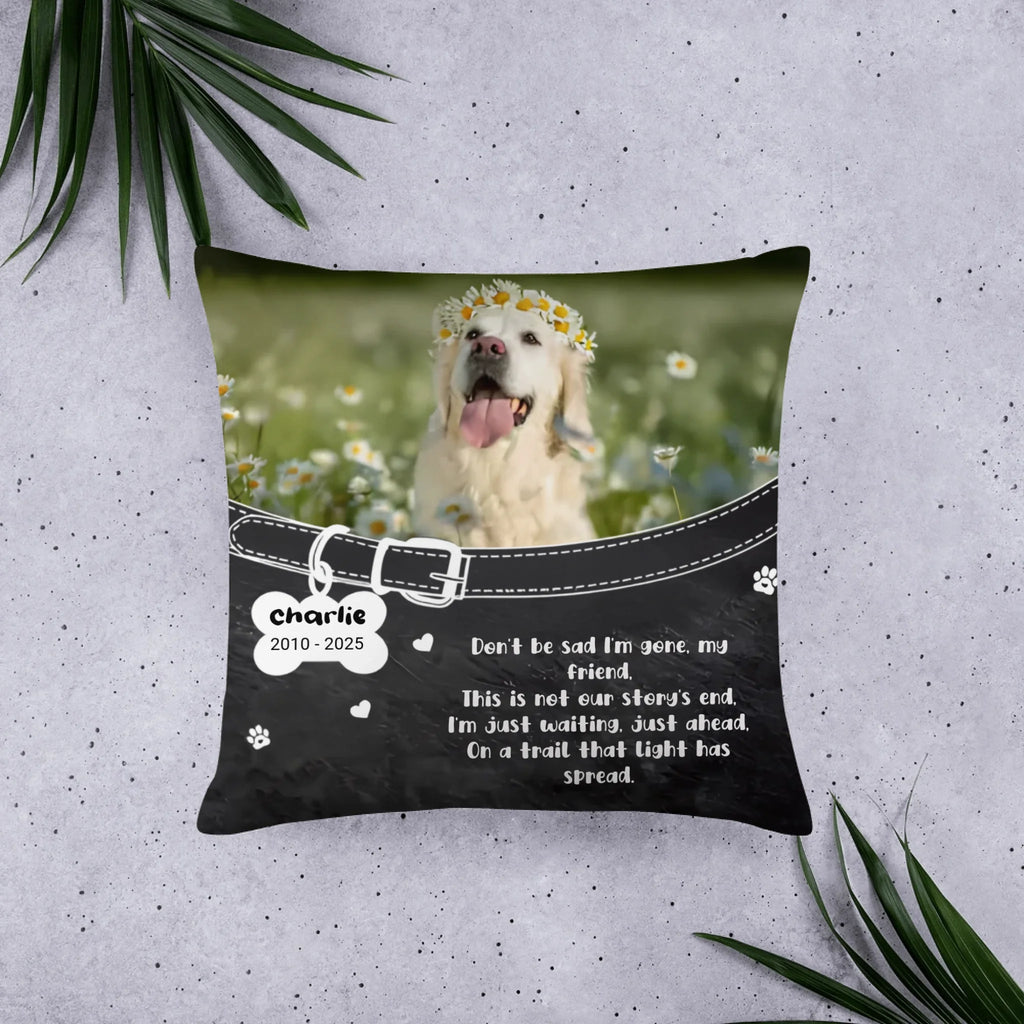 Custom Pet Photo: Don't Be Sad Memorial Pillow