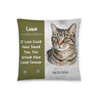 Custom Pet Photo Dog, Cat Loss Gift Memorial Pillow