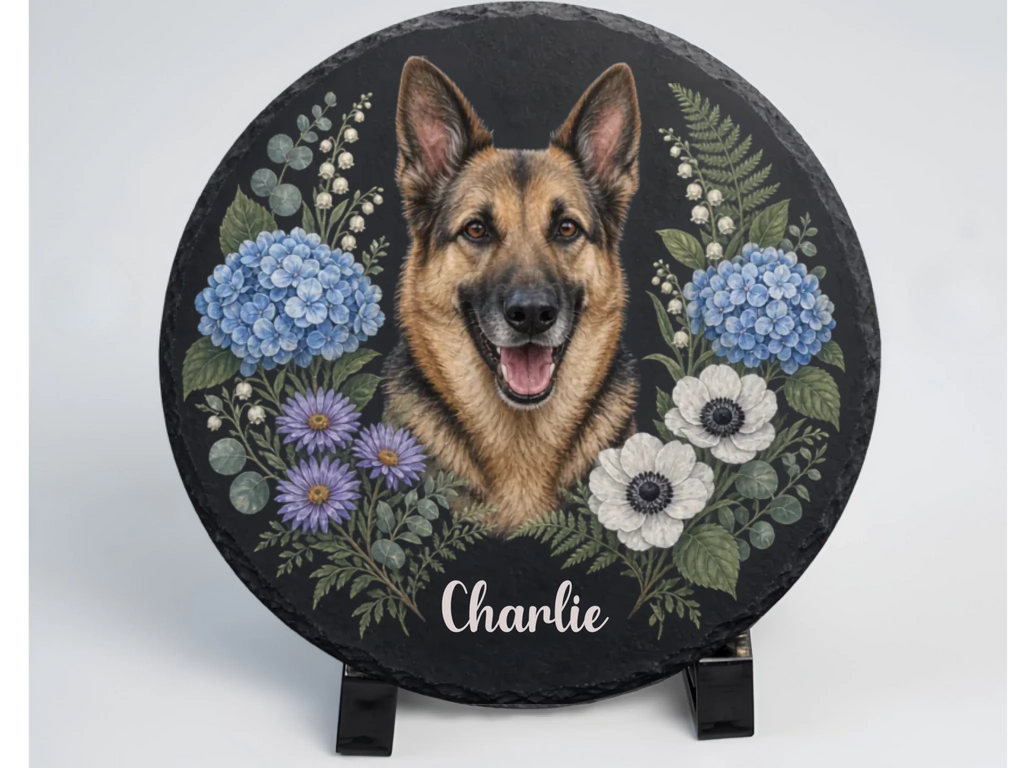This is my home, i am Charlie
