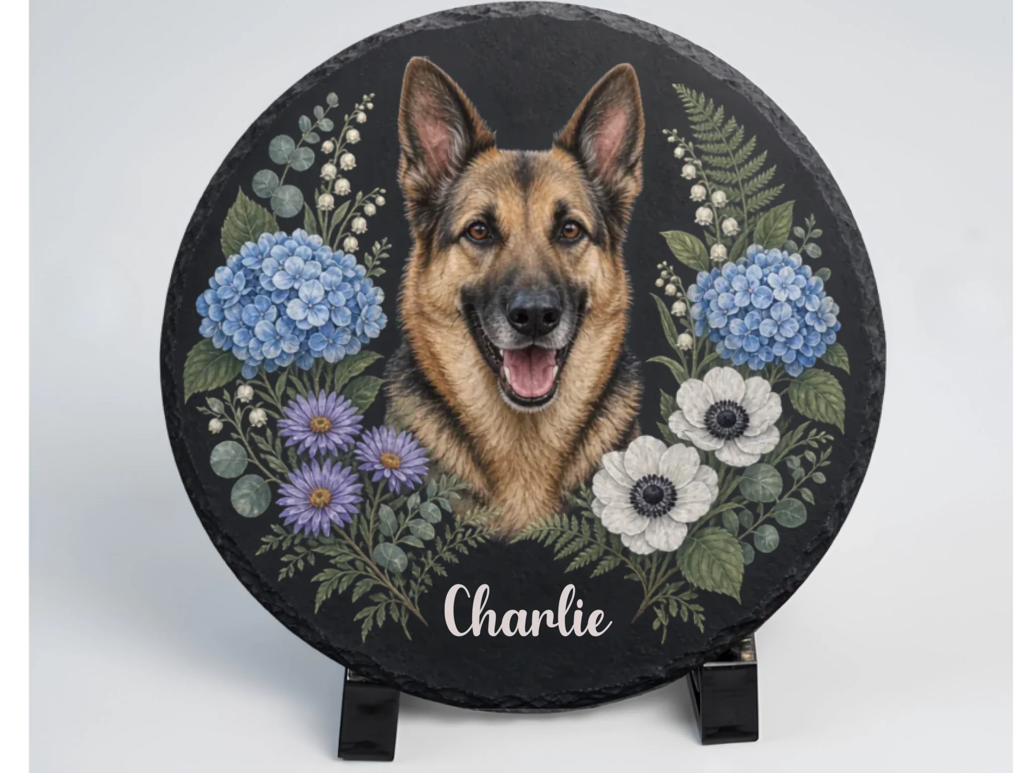 This is my home, i am Charlie