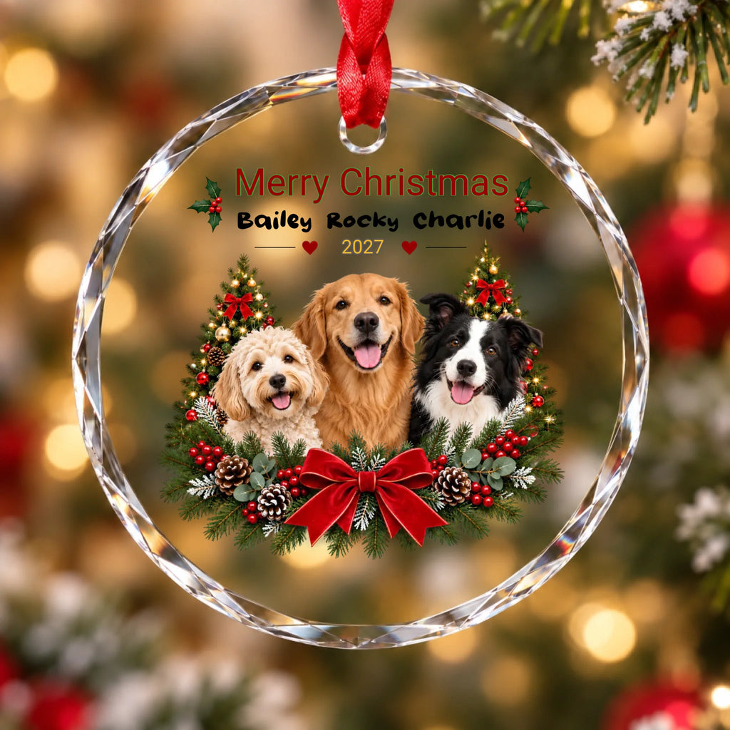 cdad9d5b-7386-489f-9afe-485314b1073b