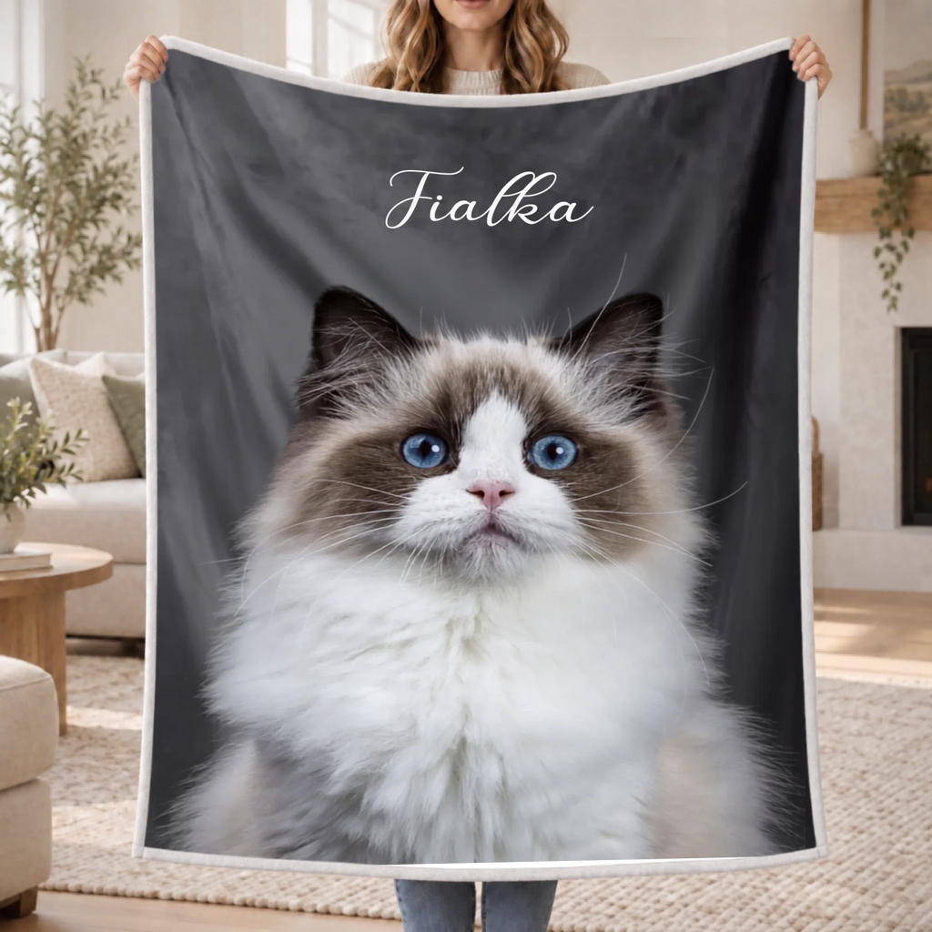 blanket-modern-transparent-overlay-v2