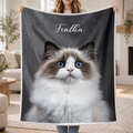 blanket-modern-transparent-overlay-v2