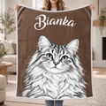 blanket-modern-transparent-overlay-v2