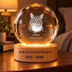 Luna personalized cat memorial night light glowing in a cozy room