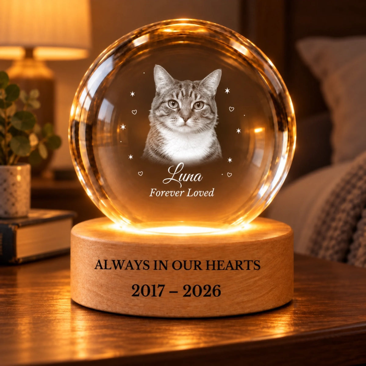 Luna personalized cat memorial night light glowing in a cozy room