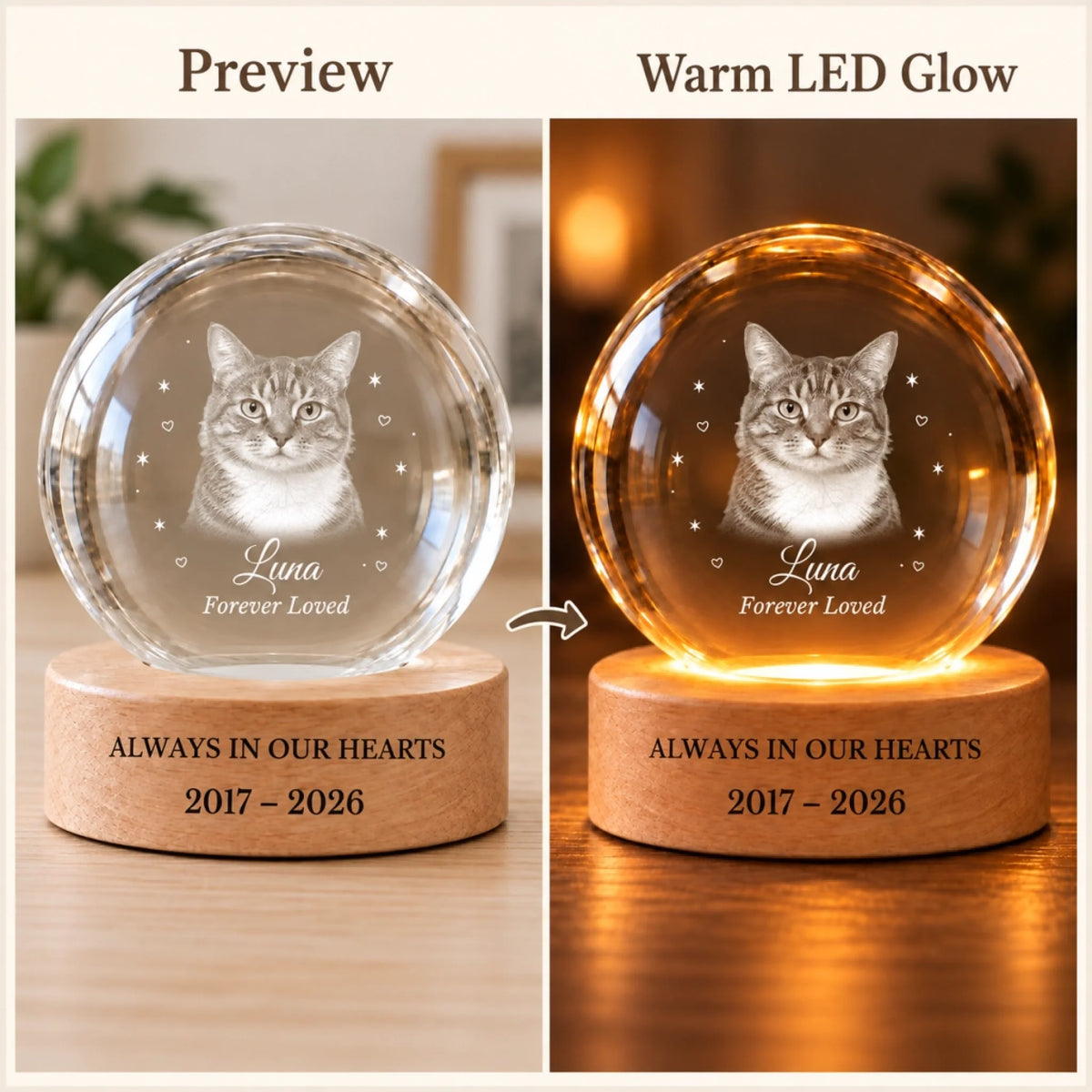 Cat memorial crystal ball preview and warm LED glow comparison