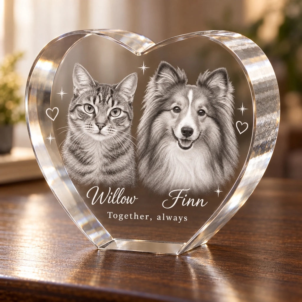 Willow_Finn_Hero
