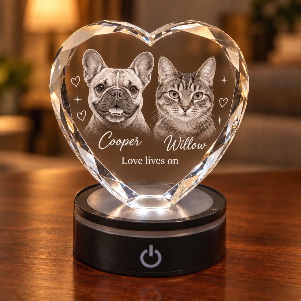 Cooper_Willow_LED