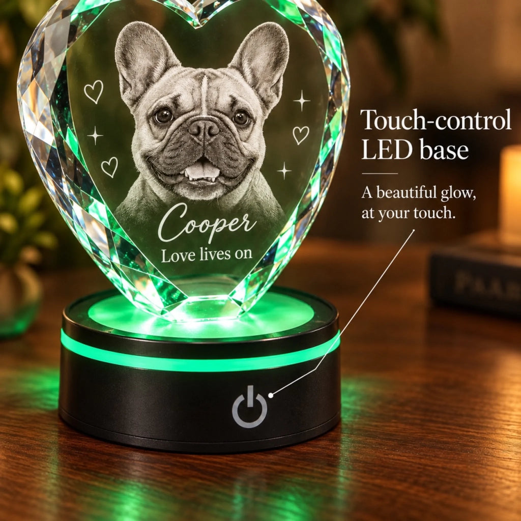 Close-up of the LED base touch switch