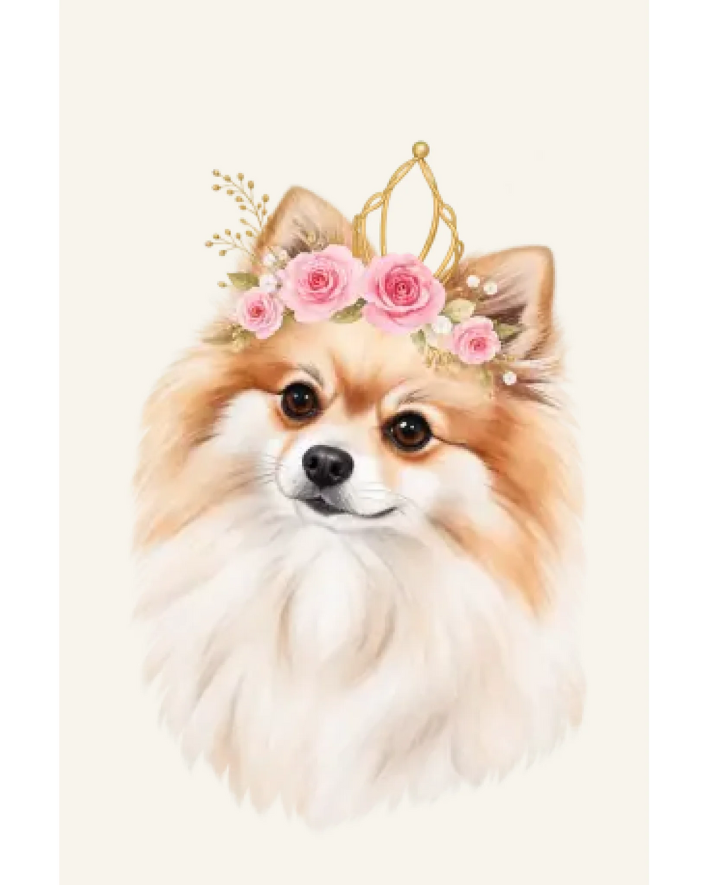 Pomeranian Girl — Digital Download