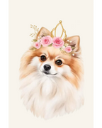 Pomeranian Girl — Digital Download