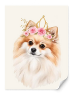 Pomeranian Girl — Paper Print — all sizes