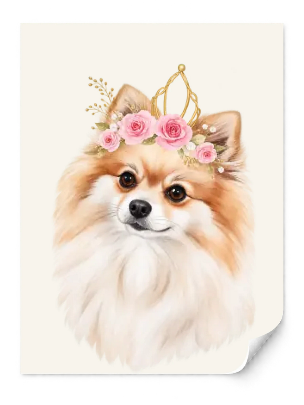 Pomeranian Girl — Paper Print — all sizes