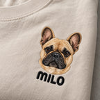 Examples of color pet portraits on five T-shirt colors